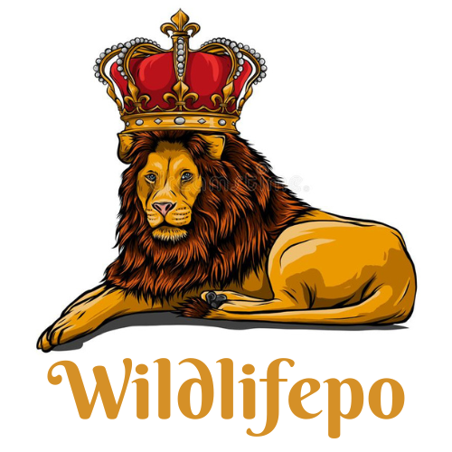 Wildlifepo.com